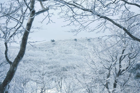 回憶錄・산의나라