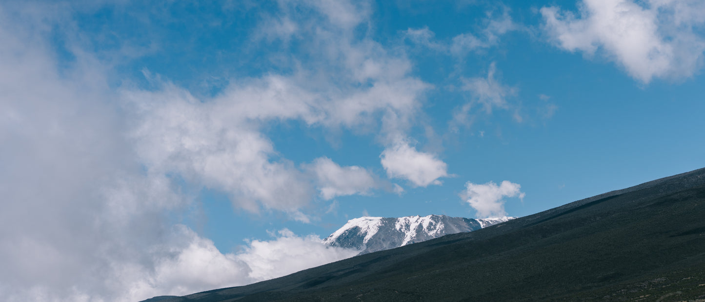 (8月) 坦桑尼亞 Mt.Kilimanjaro+Safari