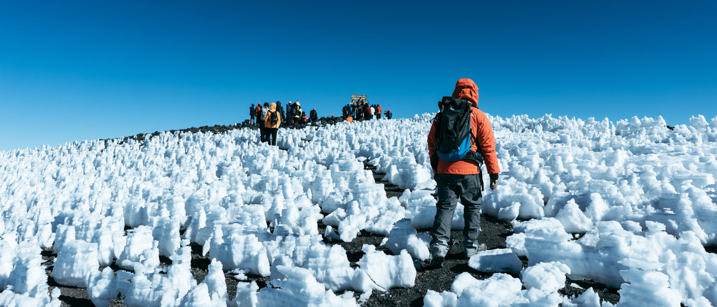 (8月) 坦桑尼亞 Mt.Kilimanjaro+Safari